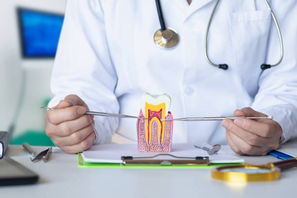 Best Weekend Emergency Dentist in St Simons, GA